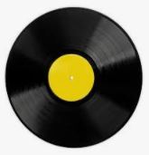 Discuri Vinyl